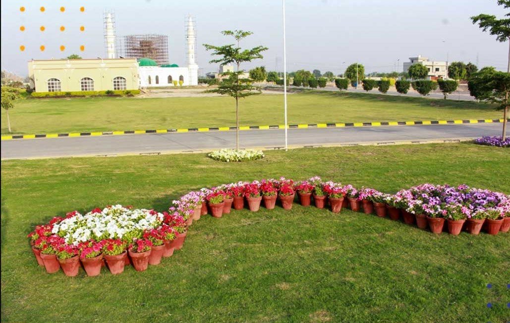 horticulture - royal orchard sahiwal development update