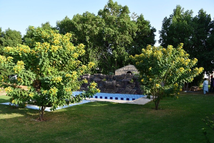 pool - The Gardens Residences