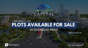 1 kanal plots in overseas prime capital smart city