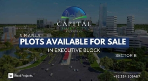 5 marla plots in executive block capital smart city